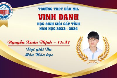 Vinh danh học sinh có thành tích trong kỳ thi học sinh giỏi lớp 12 cấp tỉnh, năm học 2023 – 2024